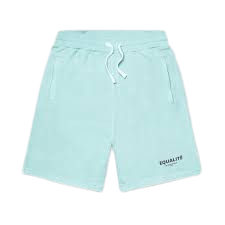Fear Of God Essentials Light Blue Shorts